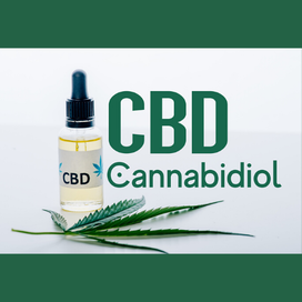 Welcome to CBD Web Guide